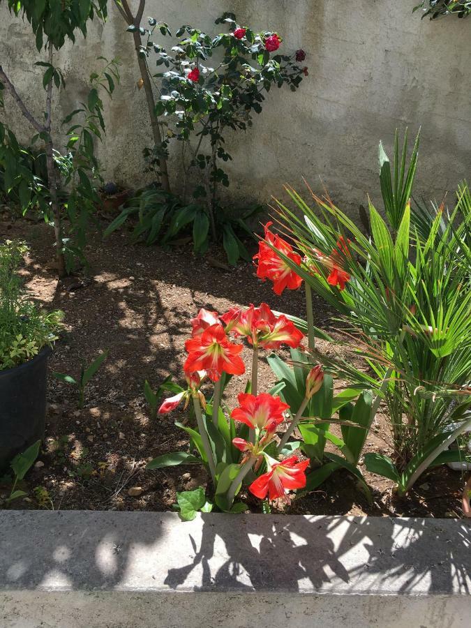 Casa Vacanza Demi 알카모 마리나 외부 사진